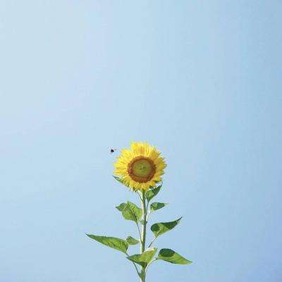 bat365官网登录入口手机app下载